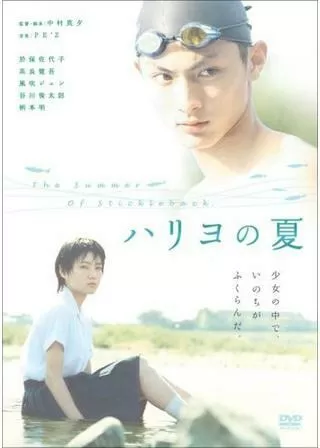 ハリヨの夏のポスター