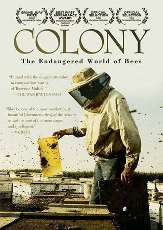 COLONYのポスター