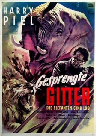 Gesprengte Gitter（原題）のポスター