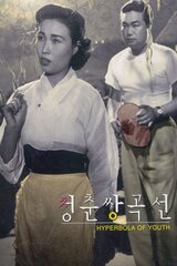青春双曲線のポスター