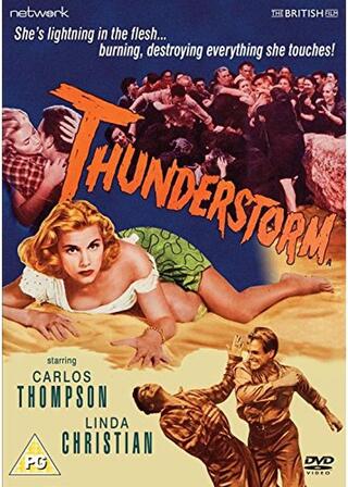 Thunderstorm（原題）のポスター