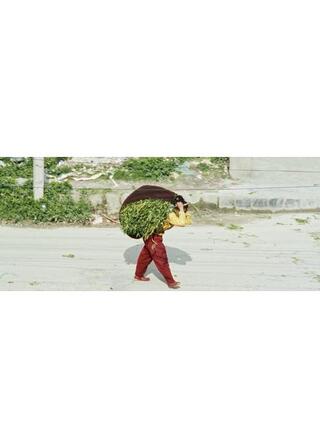 過ぎゆく日のポスター