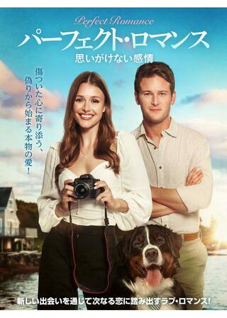 パーフェクト・ロマンス 思いがけない感情のポスター