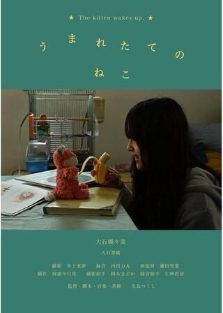 うまれたてのねこのポスター