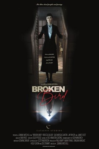 Broken Bird（原題）のポスター