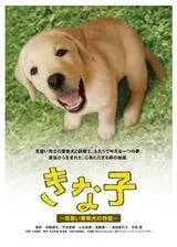 きな子〜見習い警察犬の物語〜のポスター