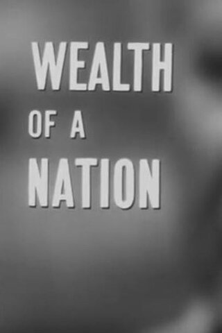 Wealth of a Nation(原題)のポスター