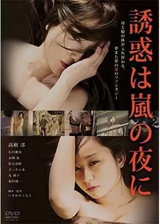 誘惑は嵐の夜にのポスター