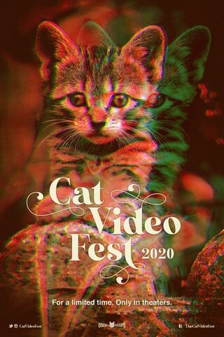 CatVideoFest 2020（原題）のポスター