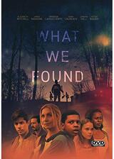 What We Found（原題）のポスター