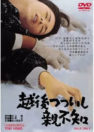 越後つついし親不知のポスター