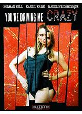 You're Driving Me Crazy（原題）のポスター