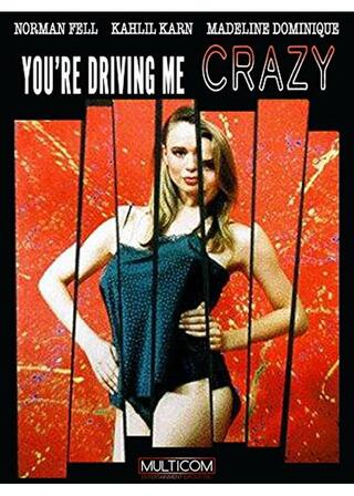 You're Driving Me Crazy(原題)のポスター
