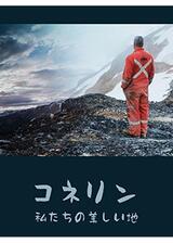 コネリン：私たちの美しい地のポスター