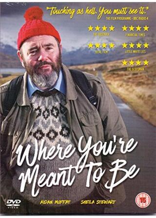 Where You're Meant to Be(原題)のポスター