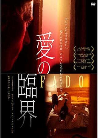 愛の臨界のポスター