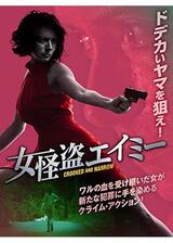 女怪盗エイミーのポスター