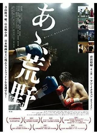 あゝ、荒野 後篇のポスター