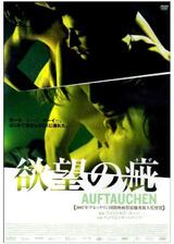 欲望の疵のポスター