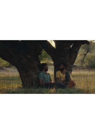 サボテンの実のポスター