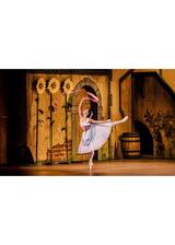 英国ロイヤル・バレエ＆オペラ in シネマ 2025/26 ロイヤル・バレエ『リーズの結婚』のポスター