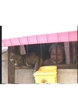 西天下茶屋・おおいし荘のポスター