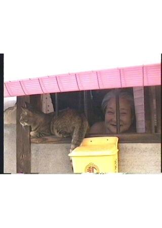 西天下茶屋・おおいし荘のポスター