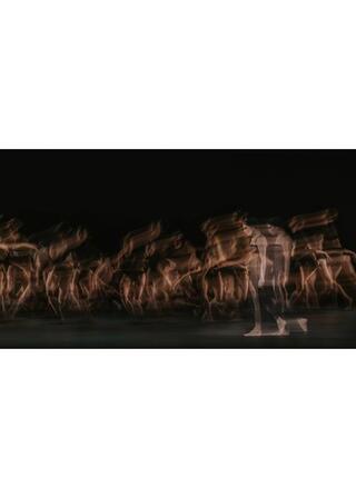 英国ロイヤル・バレエ＆オペラ in シネマ 2025/26 ロイヤル・バレエ『ウルフ・ワークス』のポスター