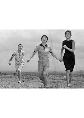 若い野ばらのポスター