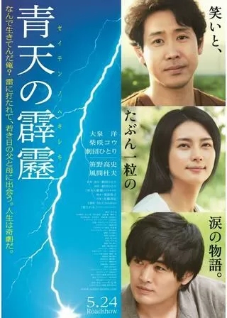 青天の霹靂のポスター