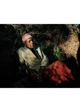 タラファルのポスター