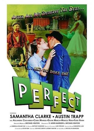 パーフェクトのポスター