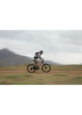 アミールの胸の内のポスター