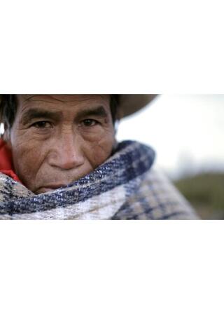 山の木霊のポスター