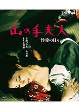 山の手夫人 性愛の日々のポスター