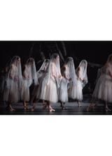 英国ロイヤル・バレエ＆オペラ in シネマ 2025/26 ロイヤル・バレエ『ジゼル』のポスター