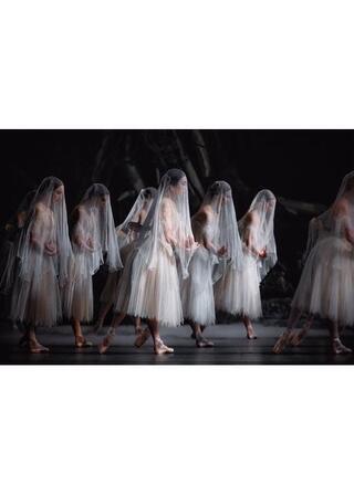 英国ロイヤル・バレエ＆オペラ in シネマ 2025/26 ロイヤル・バレエ『ジゼル』のポスター