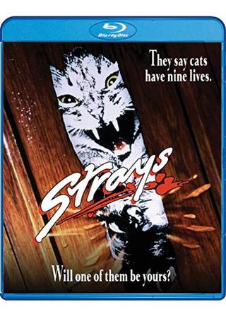 ヘル・キャッツのポスター