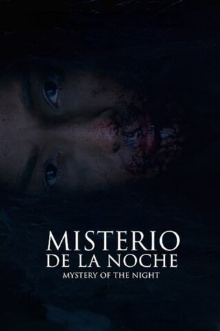 ミステリー・オブ・ザ・ナイトのポスター