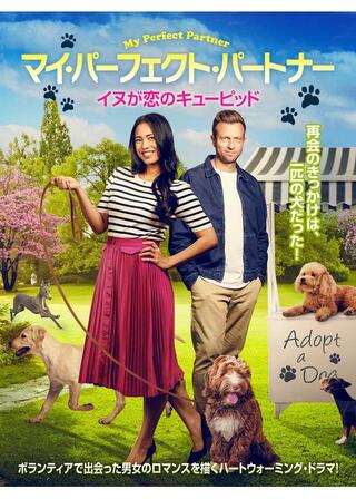 マイ・パーフェクト・パートナー イヌが恋のキューピッドのポスター