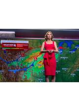 ディスクロージャー・デイのポスター