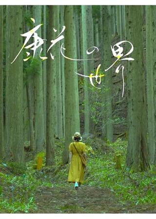 康花の世界のポスター