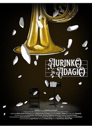 太陽のアダージョのポスター