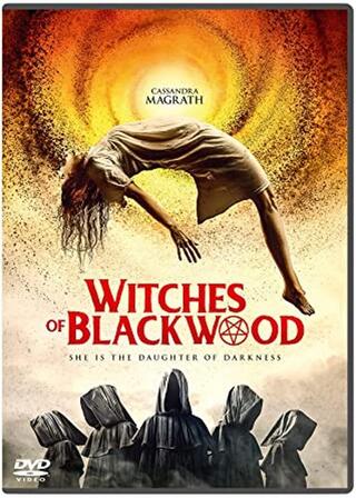 The Unlit（原題）のポスター