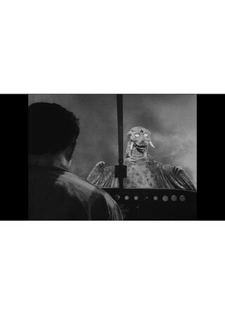 東京氷河期のポスター