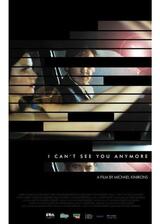 雨のヴェールのポスター