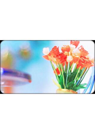 バラのような君のポスター