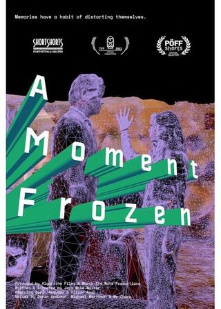 一瞬の記憶のポスター