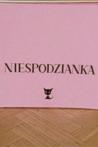 サプライズのポスター