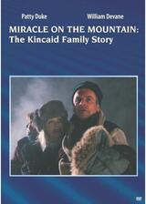 デス・ゾーン 奇跡の生還のポスター